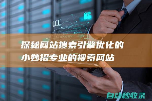 探秘網站搜索引擎優化的小妙招 (專業的搜索網站)