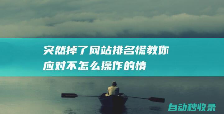 突然掉了網站排名 - 慌 - 教你應對不怎么操作的情況！ (網站突然沒有了是怎么回事)