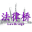 上海私募基金律師-PE法律橋:上海楊春寶一級律師|您的私募基金法律顧問