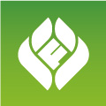 首頁—魯豐致力于打造有機農(nóng)業(yè) - 山東魯豐生物技術(shù)有限公司