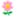 鮮花網,網上花店訂花,全國鮮花速遞,51788鮮花