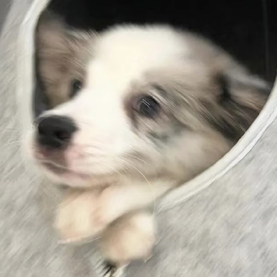 群林の個人主頁