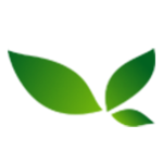 菲詠網絡科技-您身邊的AI助手
