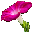 百花海 - 您身邊的養(yǎng)花專家
