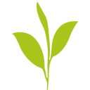 伯遠生物 讓轉(zhuǎn)化成為貫穿組學(xué) 基因功能研究的萬千河流
