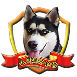 小貝漏水搶修官網