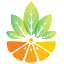 橘子網單-網單丨H5網單丨手游網單丨端游網單丨交流論壇