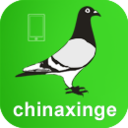 中信網-信鴿信息網