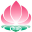 文學城,愛情文學,短文學網_刺桐文學城