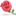 網(wǎng)上送花,鮮花速遞,全國(guó)鮮花訂購(gòu)平臺(tái)|時(shí)尚鮮花網(wǎng)-www.flower18.com.cn