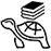 海龜留學(xué)