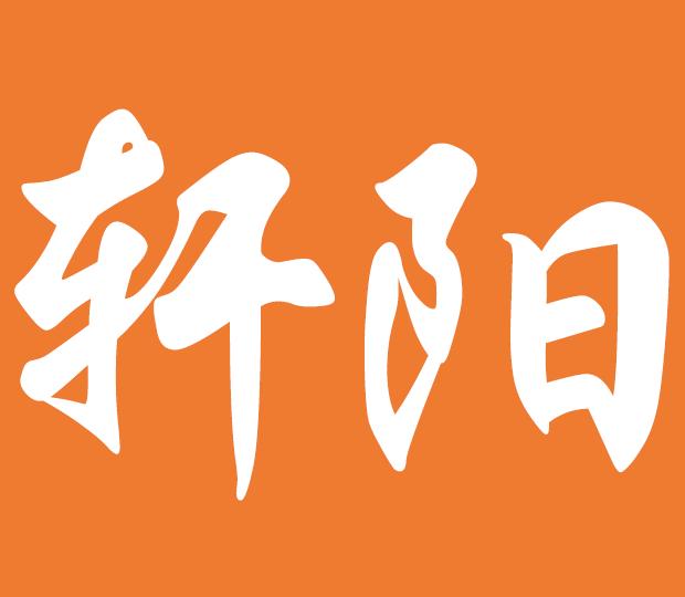 沈陽軒陽科技有限公司