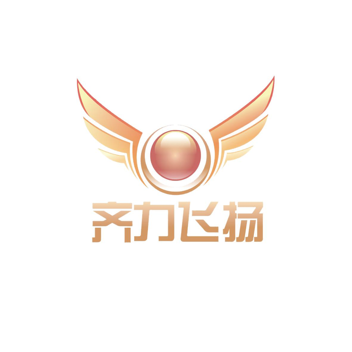 成都齊力飛揚企業(yè)管理有限公司