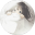 憶夕舊夢