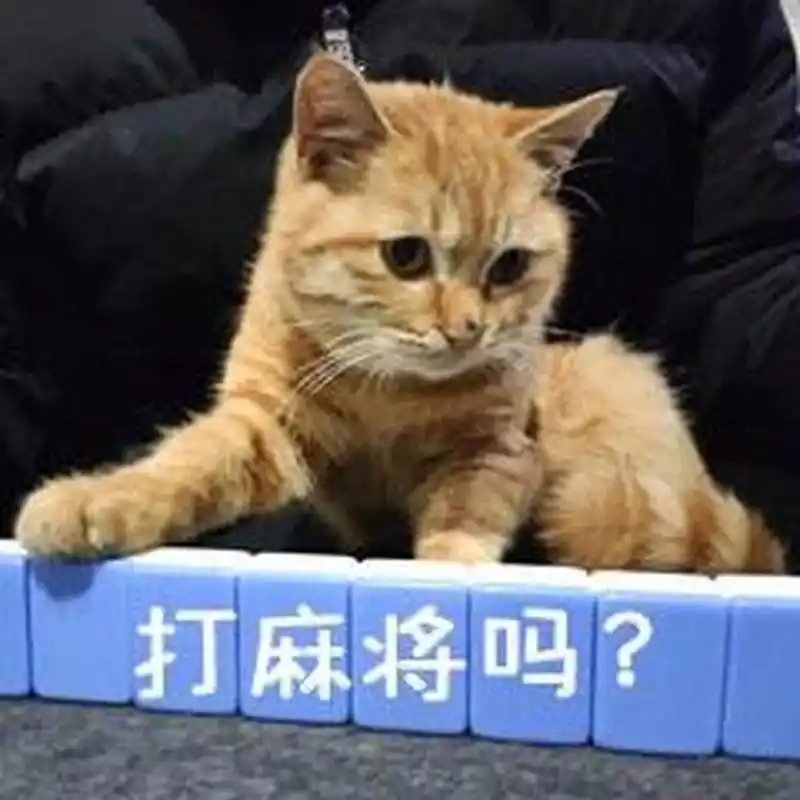寧夏樺辰麗景生態建設集團有限公司