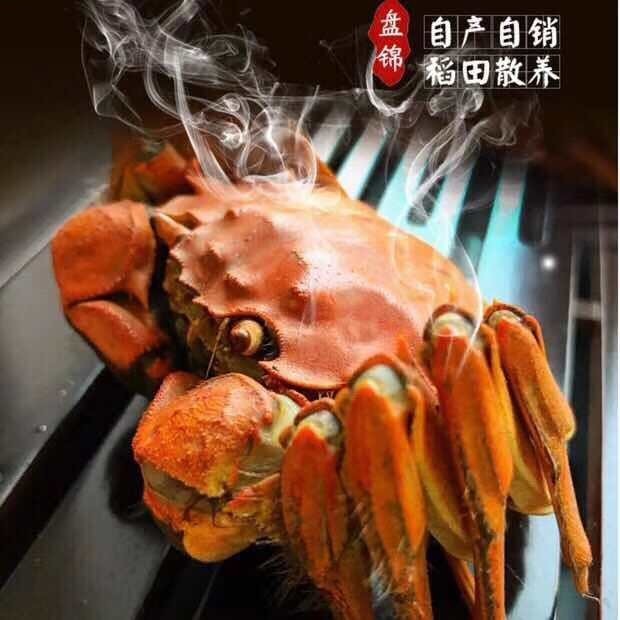 盤錦河蟹官網，供應盤錦河蟹，盤錦稻田蟹，盤錦河蟹禮盒，盤錦河蟹蟹卡，蟹苗