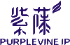 紫藤知識產權 | PurpleVine IP