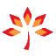 美國紅楓_秋日夢幻_紅點紅楓_秋火焰_青島紅楓楓紅園林