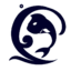 七度魚互聯(lián)網(wǎng)絡(luò)工作室