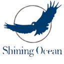 深圳市海光國際物流有限公司