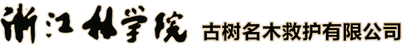 古樹復(fù)壯/古樹移植/古樹救護(hù)/浙江林學(xué)院古樹名木救護(hù)有限公司
