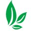 正山堂茶業(yè)|普安紅茶|貴州茶葉公司就找貴州正山堂普安紅茶業(yè)有限責任公司