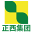 液壓機廠家_拉伸液壓機_復合材料液壓機__成都正西液壓機