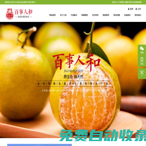 人和皇帝柑|沃柑生產廠家-南寧市人和生態農業有限公司
