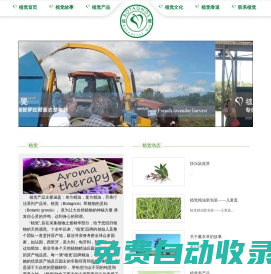 植覺|botagnos——還你植物的感覺