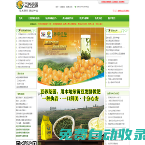 日照綠茶_日照綠茶價格_東海凝翠_日照綠茶直銷網