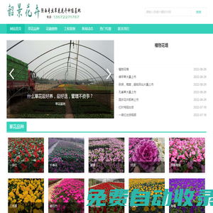 西安草花批發|西安草花基地|西北最大草花花卉種植基地