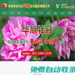 蒸汽發生器,燃氣蒸汽發生器,蒸汽發生器廠家-太康縣中泰熱能設備有限公司