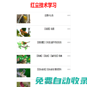 悠悠資源網 - 優質互聯網去廣告軟件分享，專注收集網絡精品資源平臺,UU資源網,有有資源網