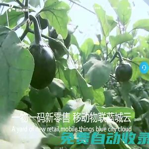 新零售系統(tǒng)解決方案,服務(wù)熱線：022-82939965,溯源管理軟件-二維碼溯源軟件-二維碼防偽-系統(tǒng)