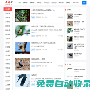 花鳥吧專注鳥類愛護，鳥類飼養，鳥類知識大全，鳥類大全，鳥類網