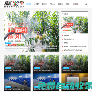 肥城生活網-肥城365天,天天快樂。 - www.feicheng365.com