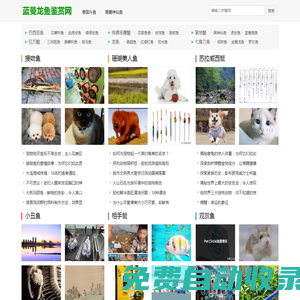 藍曼龍魚鑒賞網 - 探索神秘的海洋王者，感受藍曼龍魚的非凡魅力