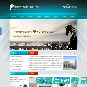 淮南市三恒電子有限公司