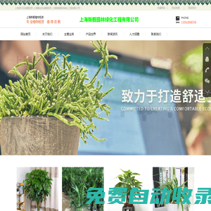 上海虹口區綠植租賃-上海閔行區綠植租賃-上海靜安區綠植租賃-上海新靚園林綠化工程有限公司-上海昶燦拆除工程有限公司