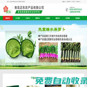 蘿卜的尖叫|殼寡糖水果蘿卜|青島銳陽生態農業科技開發有限公司