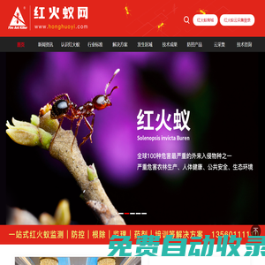 紅火蟻網_國內首個紅火蟻行業權威網站
