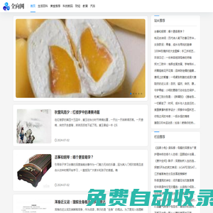 全向網