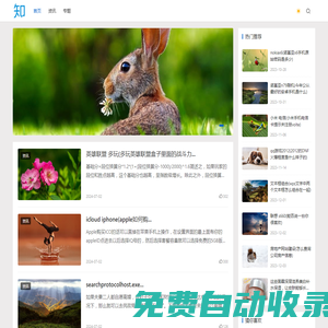 AEIS考試研究中心 - 因人施教，因材施教