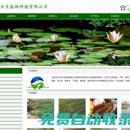 水生植物_沉水植物_人工浮島-_浮動濕地-天利水生植物