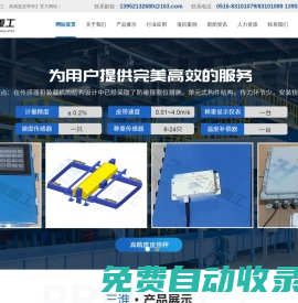 高精度皮帶秤_電子皮帶秤廠家-徐州市三淮重工設備有限公司