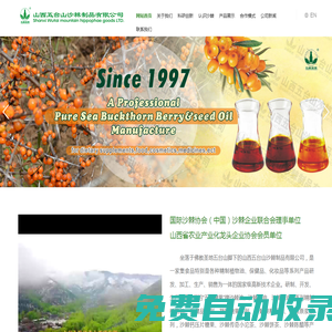 智慧遼聯，共贏未來 - 財源大數據建設公共服務平臺 - 遼聯信息