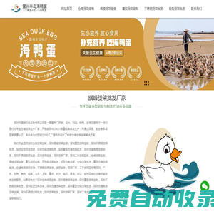 深圳倉庫倉儲貨架定制_深圳閣樓貨架定做_深圳重型貨架定制_深圳不銹鋼貨架批發_深圳輕型倉庫貨架_深圳密集架貨架廠家_旗峰貨架批發廠家