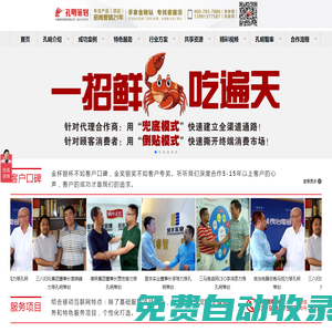 營銷策劃公司,品牌營銷策劃公司,網絡營銷策劃,招商變現咨詢,孔明營銷策劃公司,營銷策劃公司哪家好