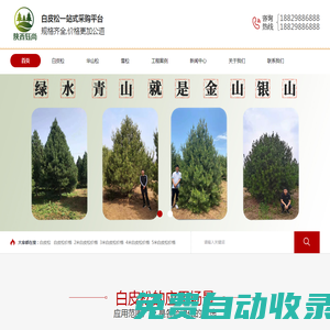 白皮松價(jià)格「2米3米4米5米6米白皮松」基地報(bào)價(jià)_陜西鈺尚園林