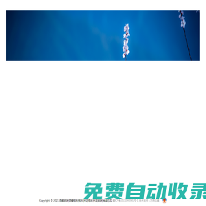 西藏旅游|西藏租車|租車|林芝租車|林芝旅游|南迦巴瓦